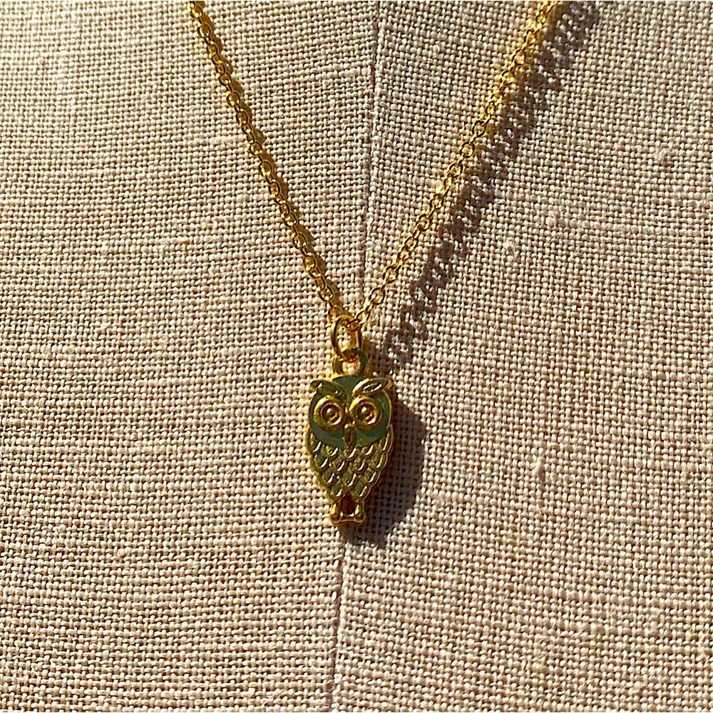 NWT Sterling Silver Plated Chain & Alloy Owl Charm Necklace - Picture 1 of 11